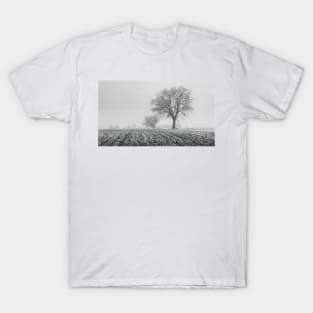 Winter Fields T-Shirt